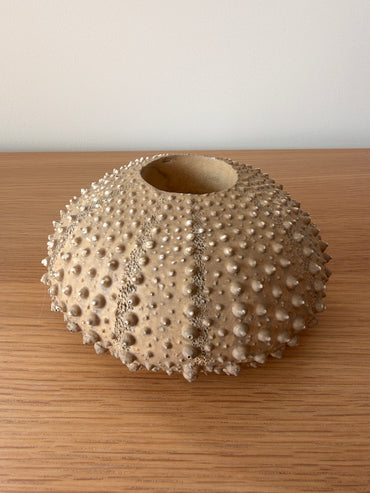 Photophore OURSIN sable