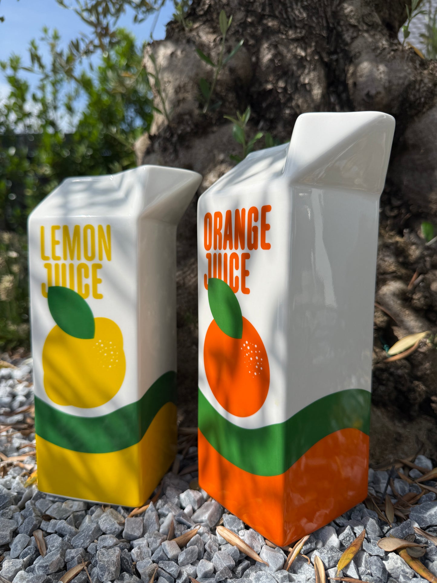 Vase Orange Juice