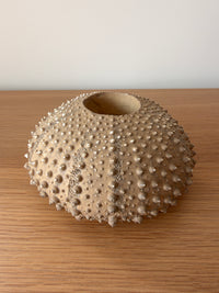 Photophore OURSIN sable