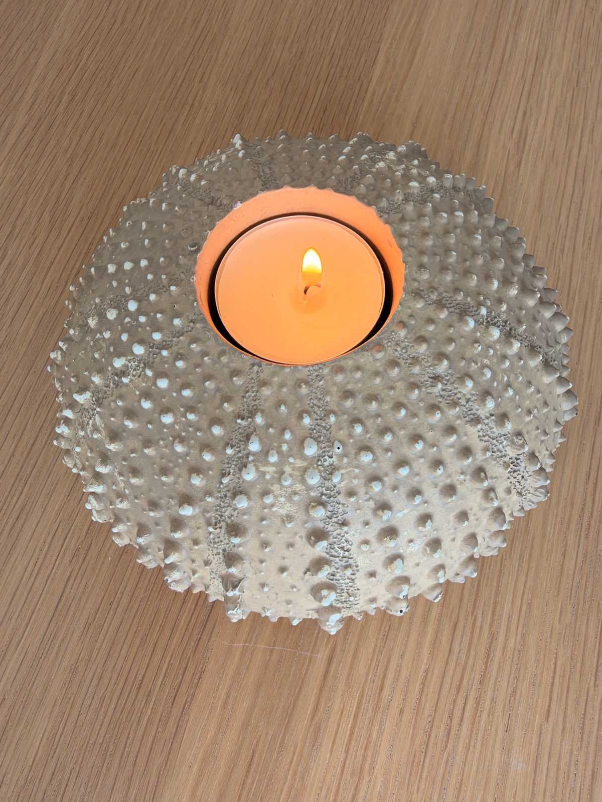 Photophore OURSIN sable