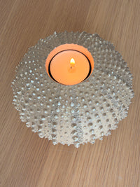 Photophore OURSIN sable