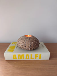 Boîte-livre Amalfi