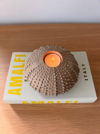 Photophore OURSIN sable