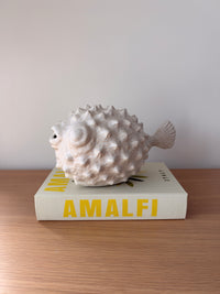 Boîte-livre Amalfi