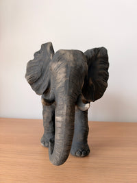 Statue Jaipur