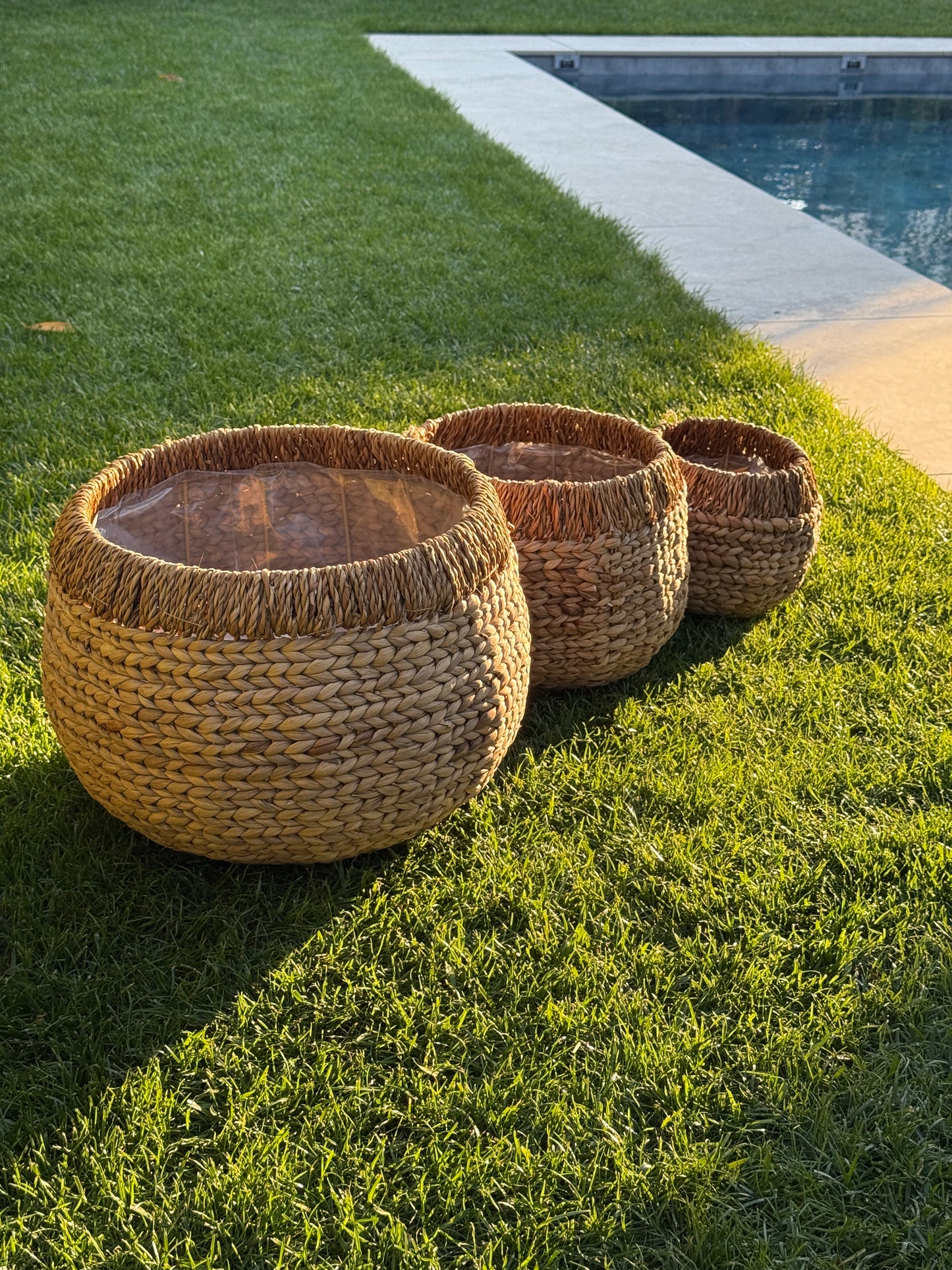 Panier YOLA