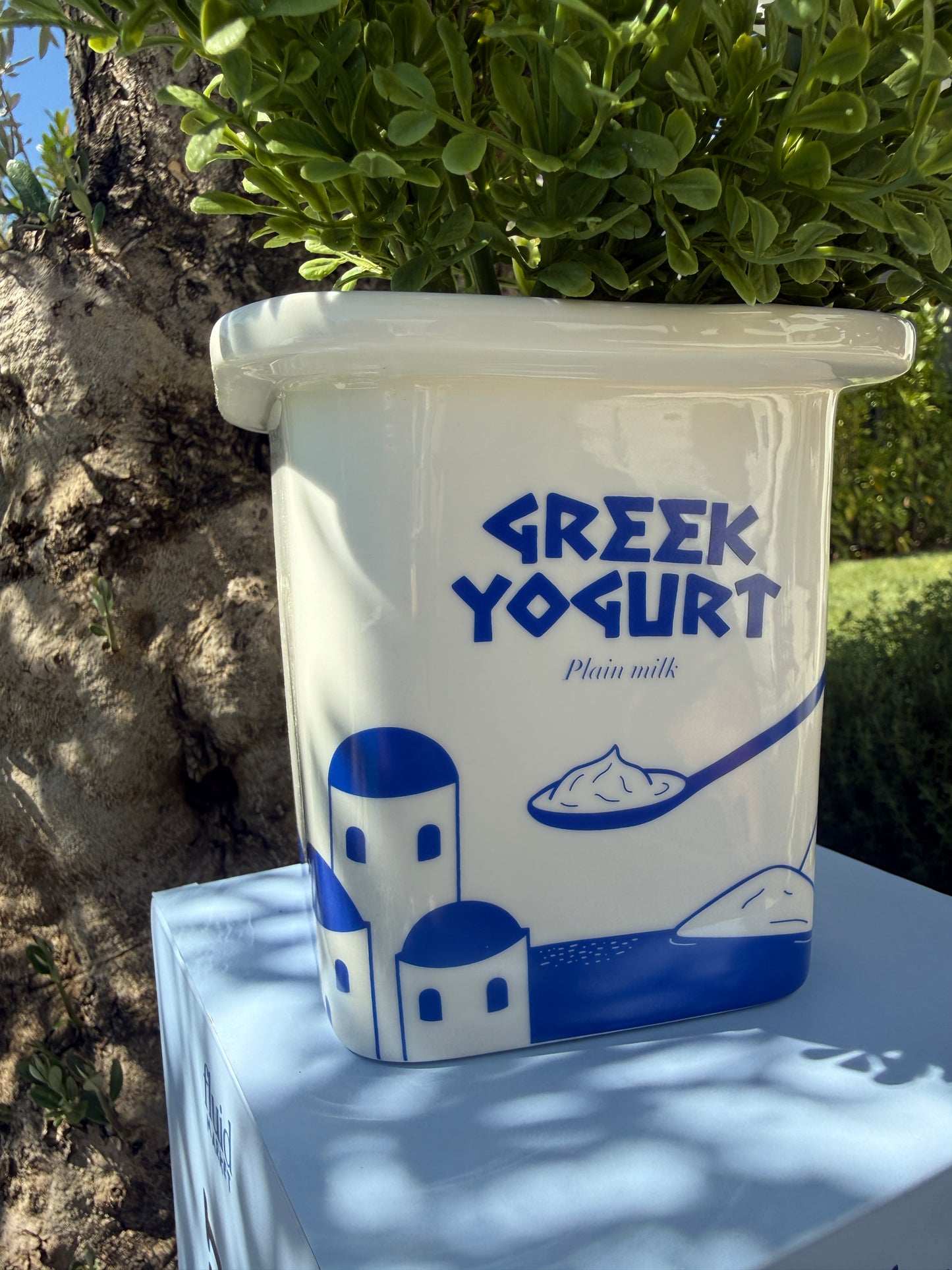 Vase Yoghurt Greek